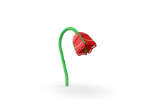 View Hanging Rose slide