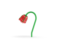 View Hanging Rose slide