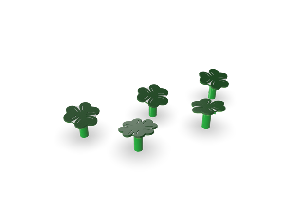 Shamrock Steppers (5) 1