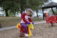 View Horse Bouncer slide