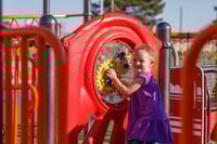 View Gear Panel slide