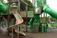 View Deep Roots slide