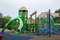 View Deep Roots slide