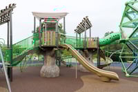 View Deep Roots slide