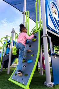 View Cowabunga Climber slide