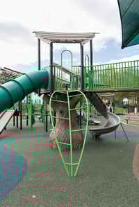 View Metal Leaf Climber slide