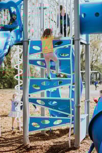 View Paragon Climber slide