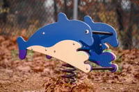 View Dolphin Bouncer slide