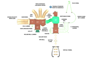 View Tripoly slide