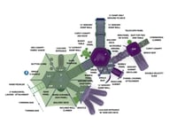 View Jellybean Junction slide