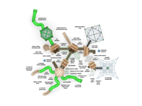 View Deep Roots slide