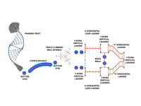 View Hercules Course slide