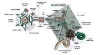 View Symbios slide