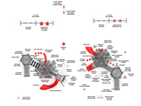 View Double Down slide