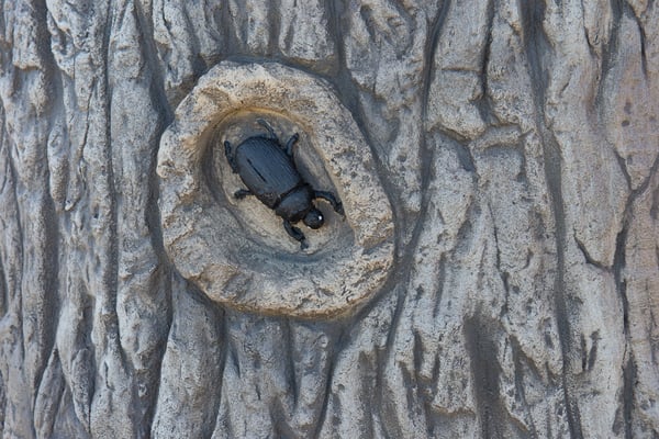 GFRC Tree 3