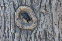 View GFRC Tree slide