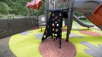 View AeroStep Climber slide