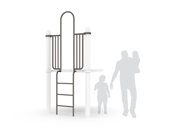 Vertical Access Ladder 2