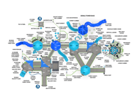 View Enchanted Grove slide