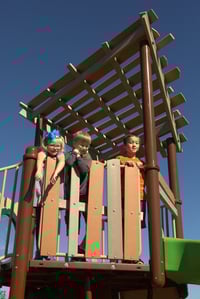 View Slat Barrier slide
