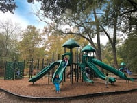 View Banyan Tree slide