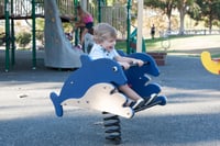 View Dolphin Bouncer slide