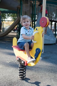View Seal Bouncer slide
