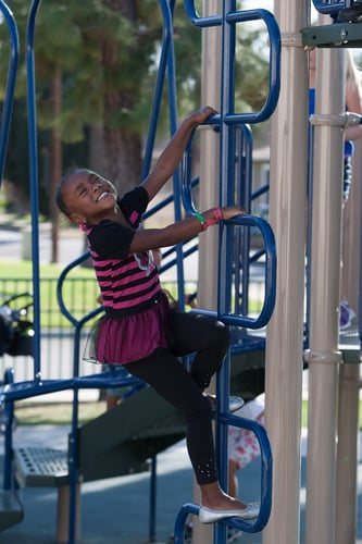 Loop Pole Climber 2