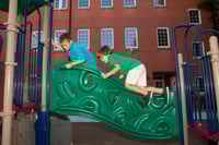 View Apex Single Lateral Link slide