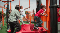 view Pinnacle Climber Single Entrance slide