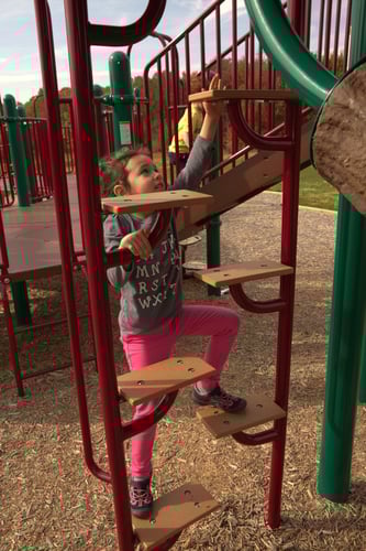 Zip Step Climber 2