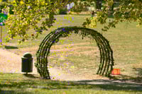 View Vine Tunnel slide