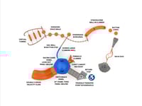 View Riverbend slide