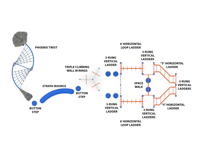 View Hercules Course slide