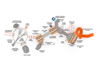 View Sherwood Forest slide