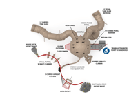 View Base Camp slide