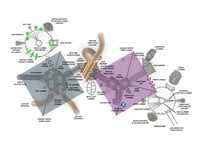 View Festivity slide