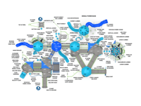 View Enchanted Grove slide