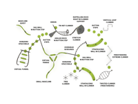 View Mystic Moves slide