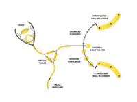 View Morning Glory slide