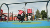 view 5 Od Arch Tire Swing Single Bay slide