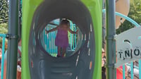 view Walk 'N Double Chunnel Link slide