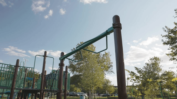 Wild Swinger video 1