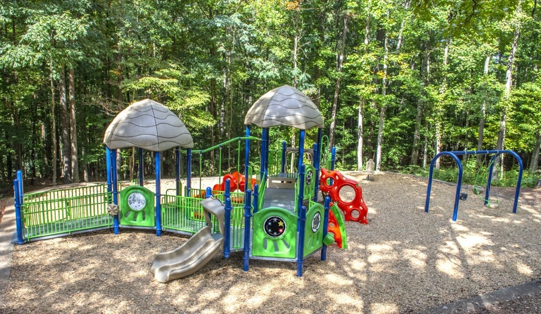 green and bluecolored playground park in front of large trees